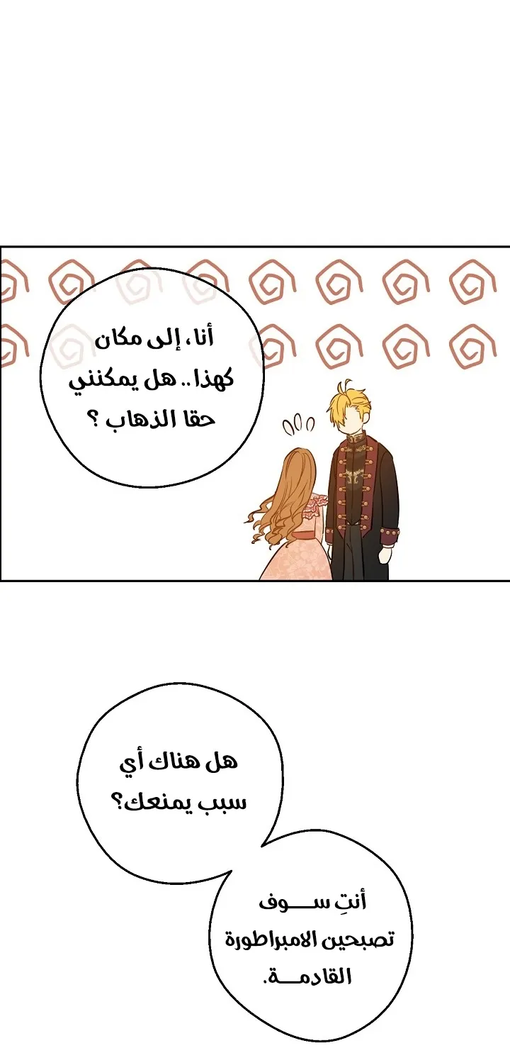الصفحة 43 من 66