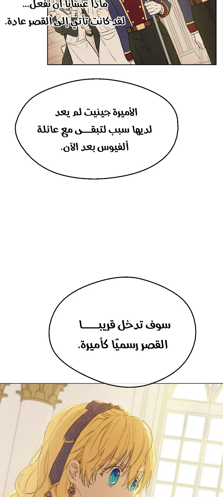 الصفحة 17 من 66