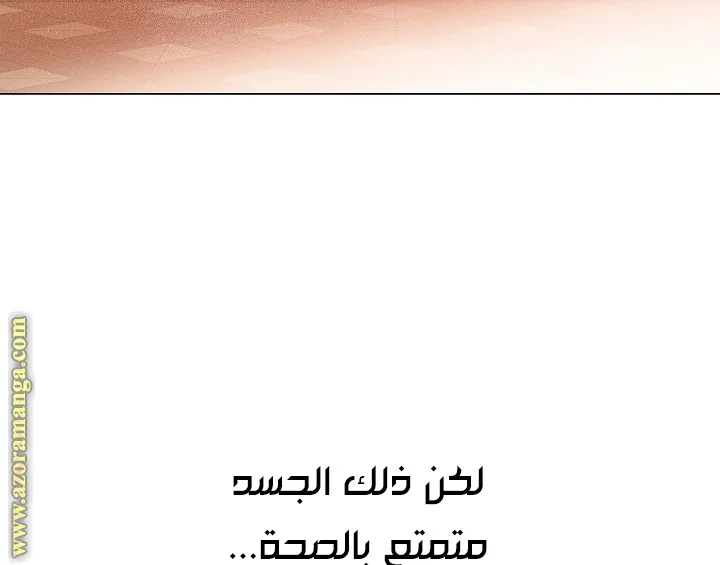 الصفحة 52 من 66
