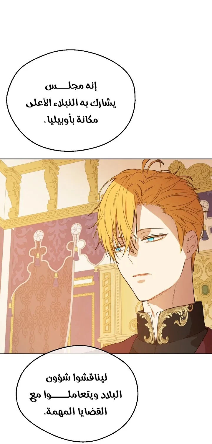 الصفحة 41 من 66