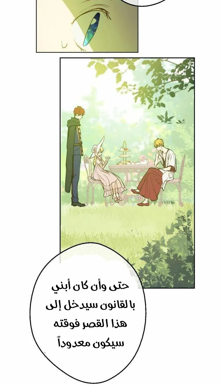 الصفحة 39 من 52