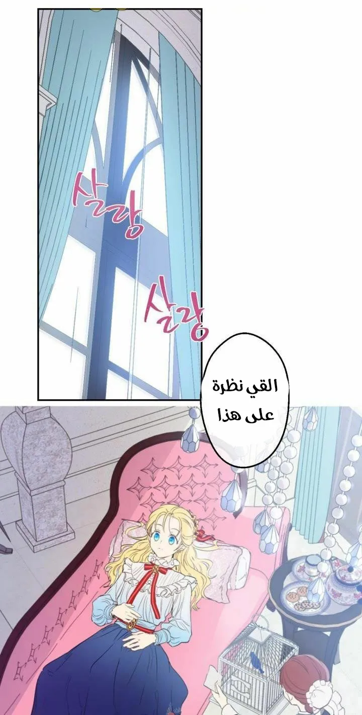الصفحة 21 من 52