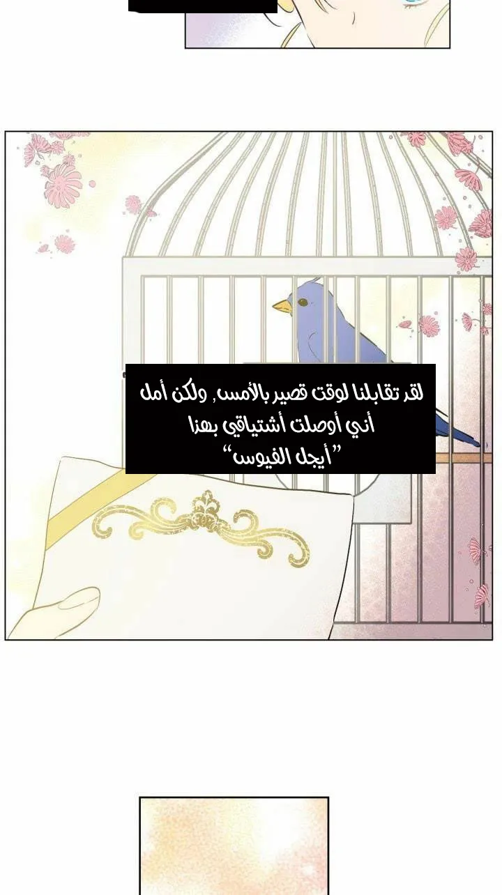 الصفحة 23 من 52
