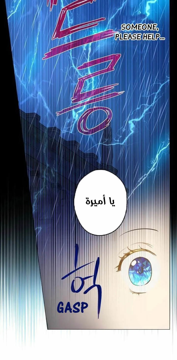 الصفحة 20 من 52