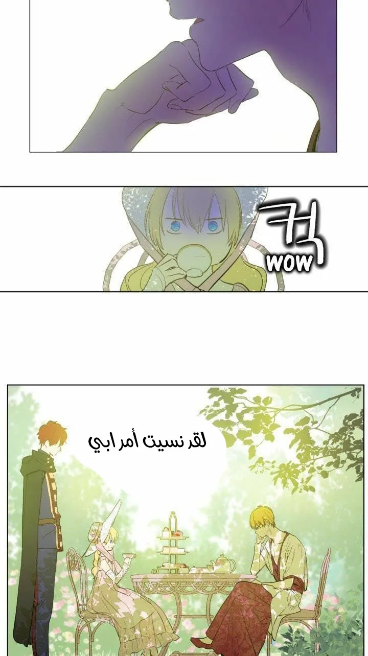 الصفحة 31 من 52