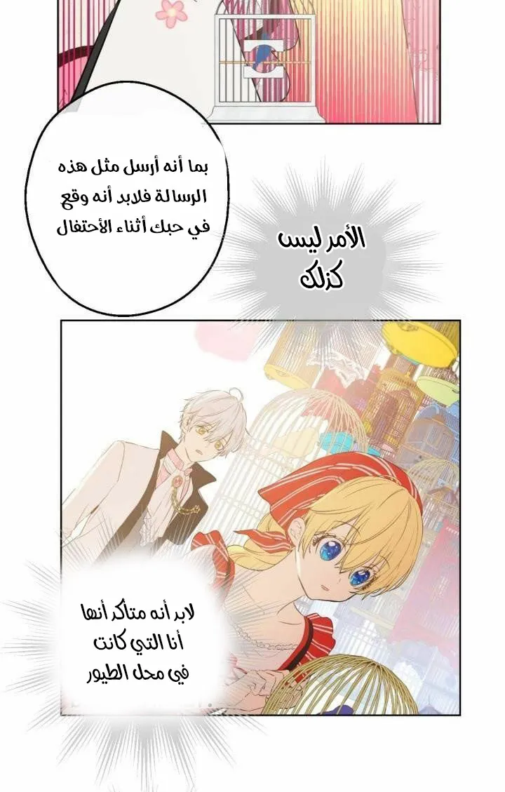 الصفحة 25 من 52