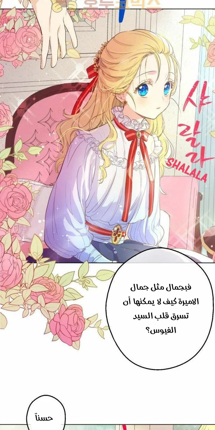 الصفحة 27 من 52
