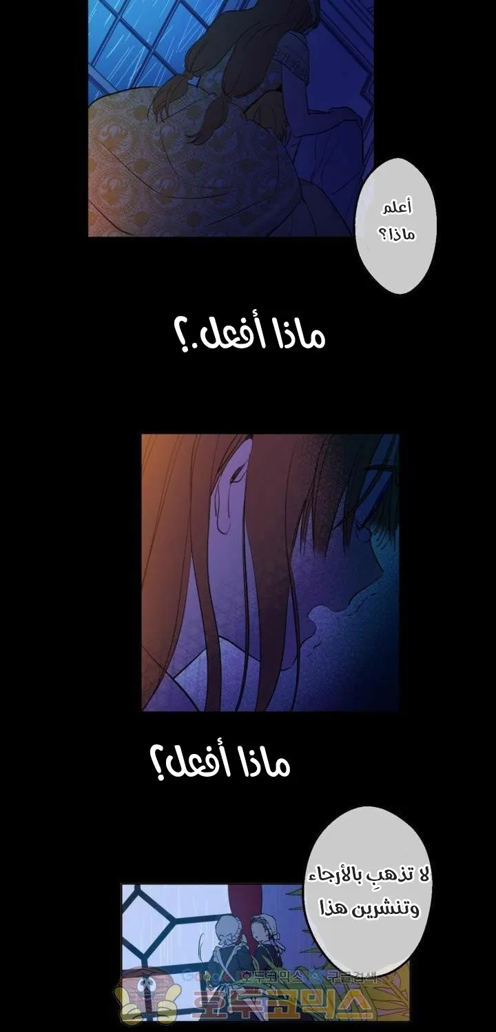 الصفحة 16 من 52