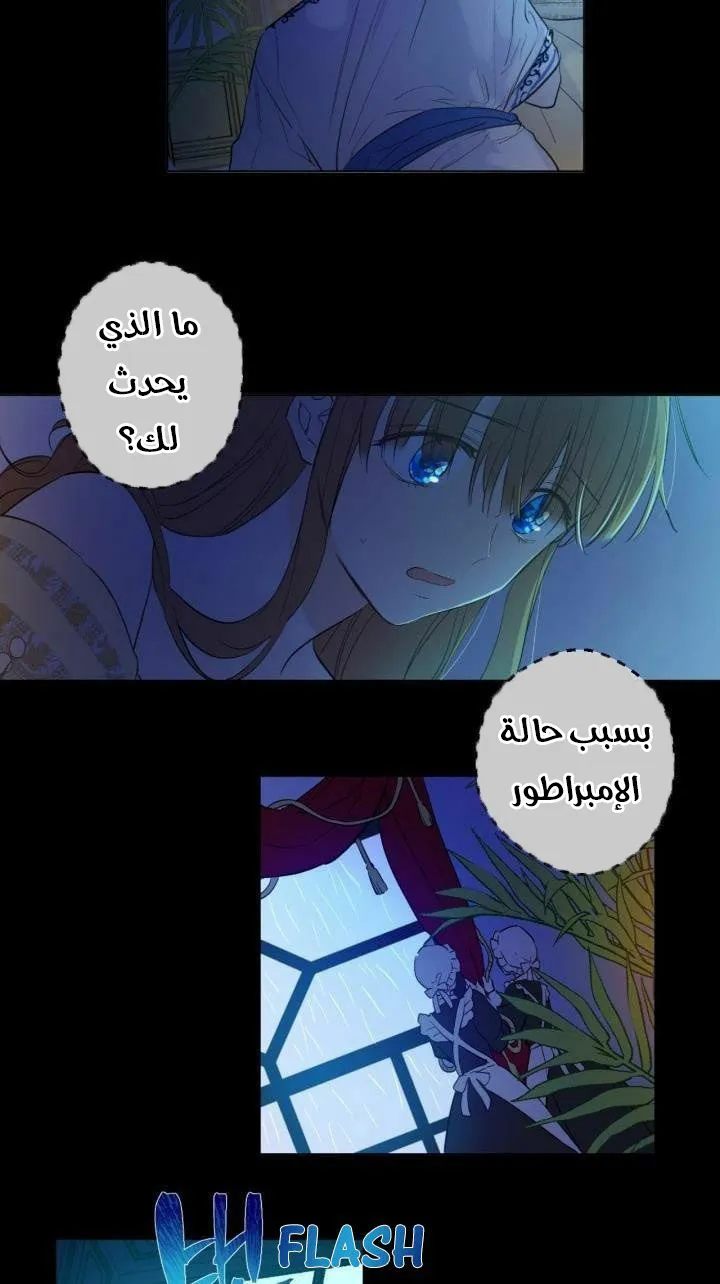 الصفحة 13 من 52