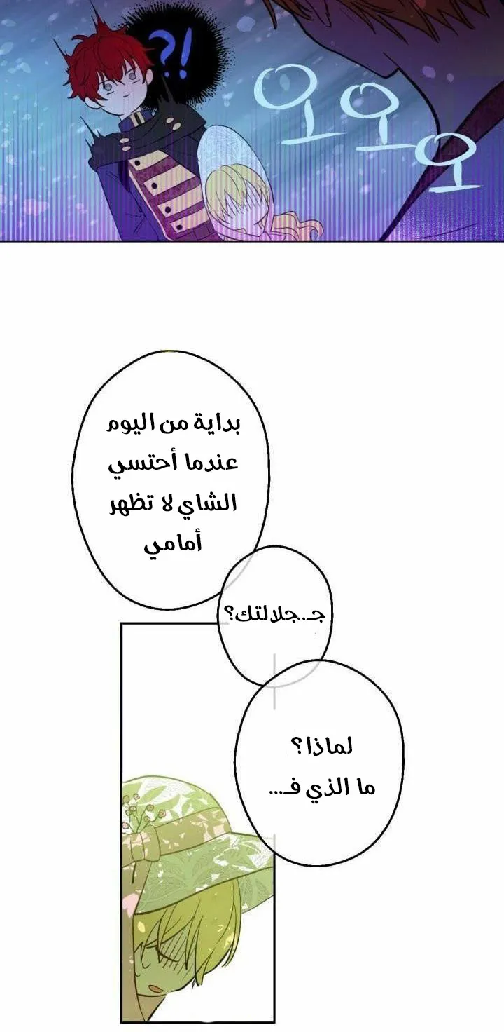الصفحة 42 من 52