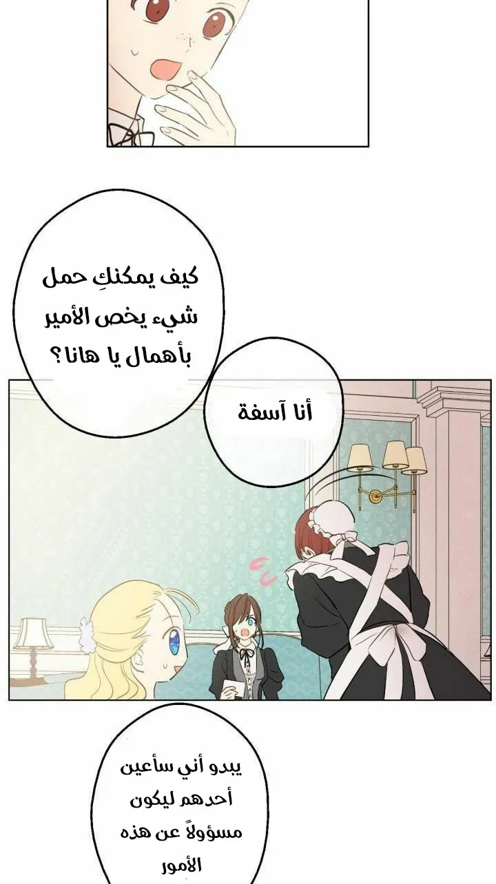 الصفحة 29 من 52