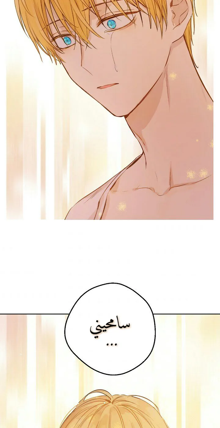 الصفحة 33 من 76