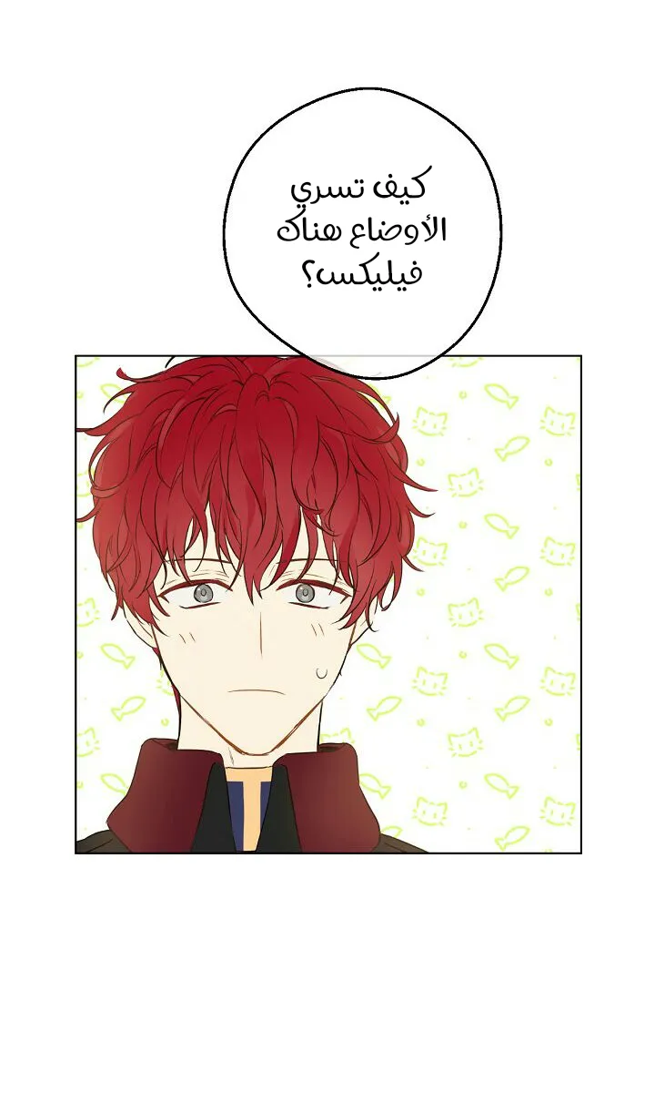 الصفحة 43 من 76