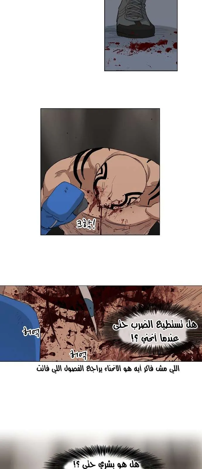 الصفحة 11 من 36