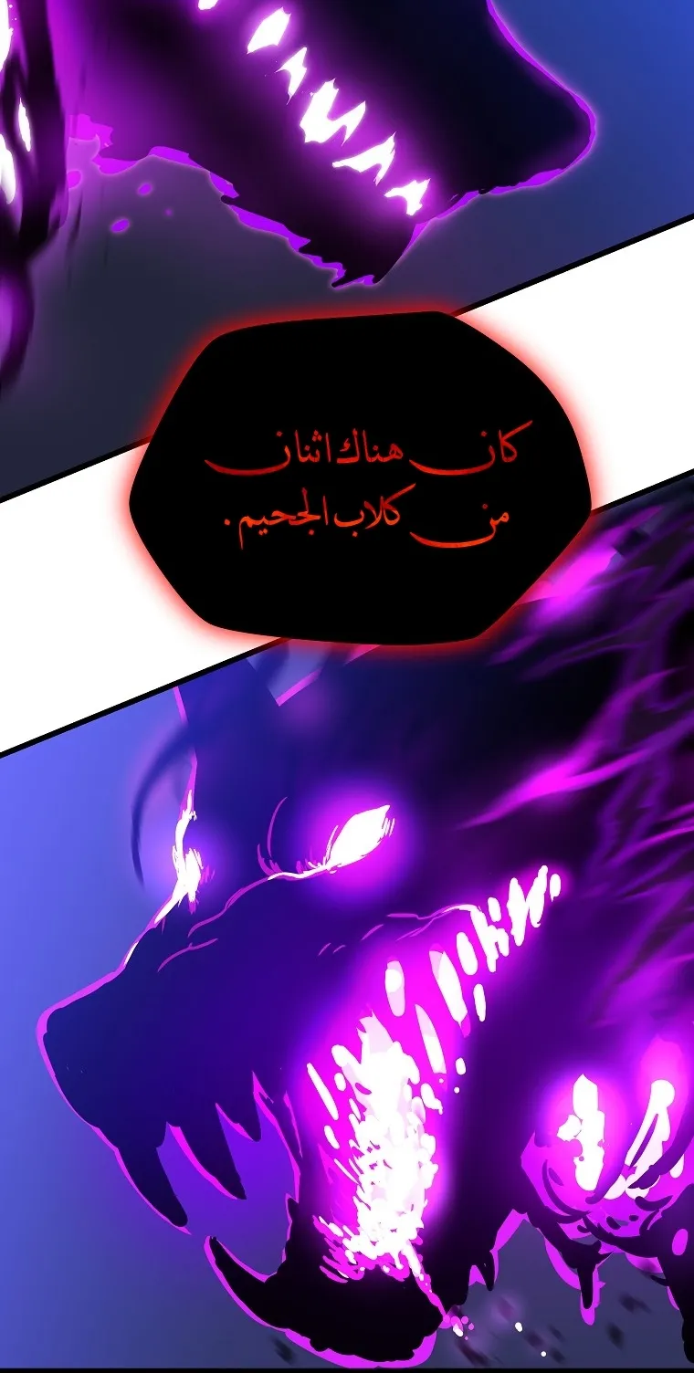 الصفحة 78 من 80