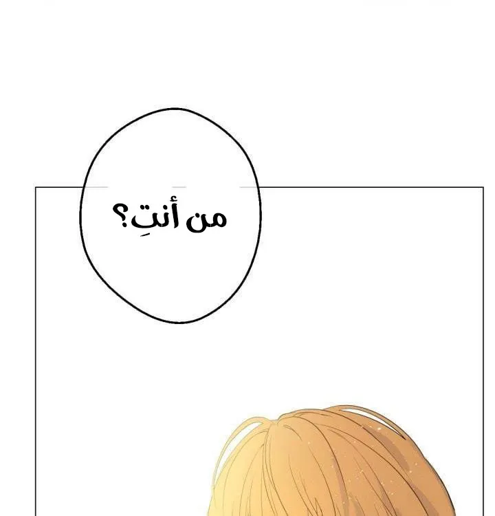 الصفحة 45 من 47