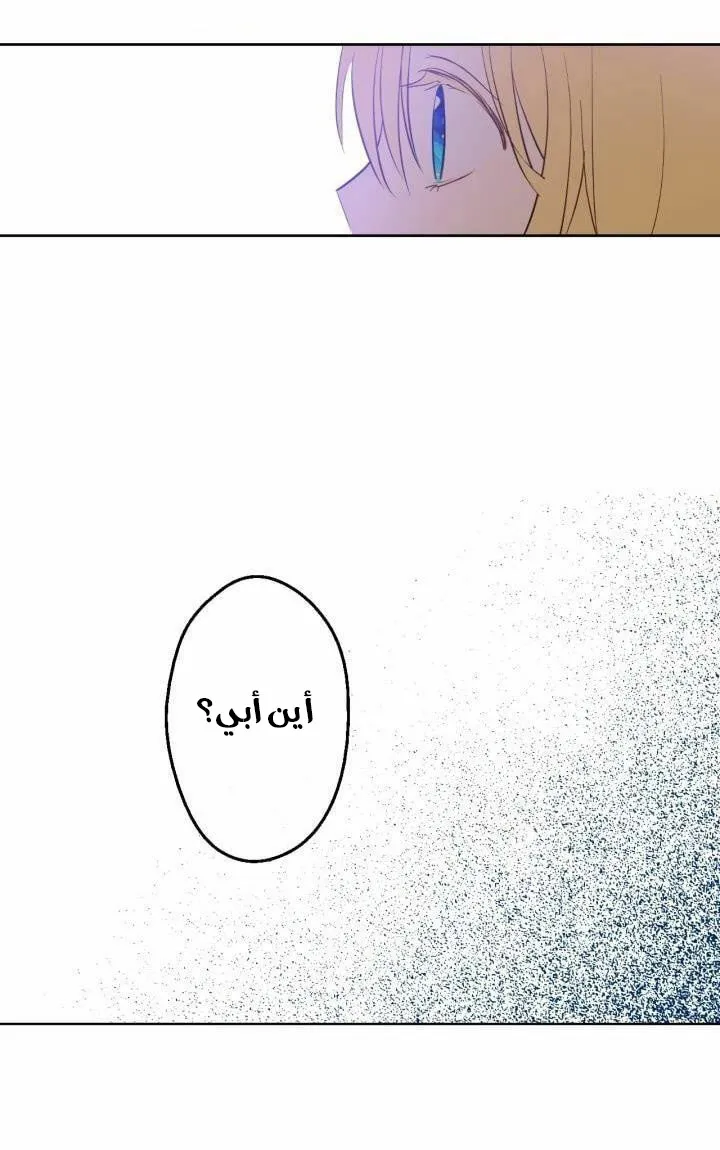 الصفحة 17 من 47
