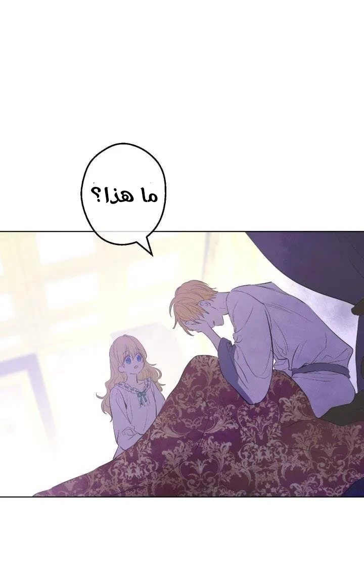 الصفحة 43 من 47