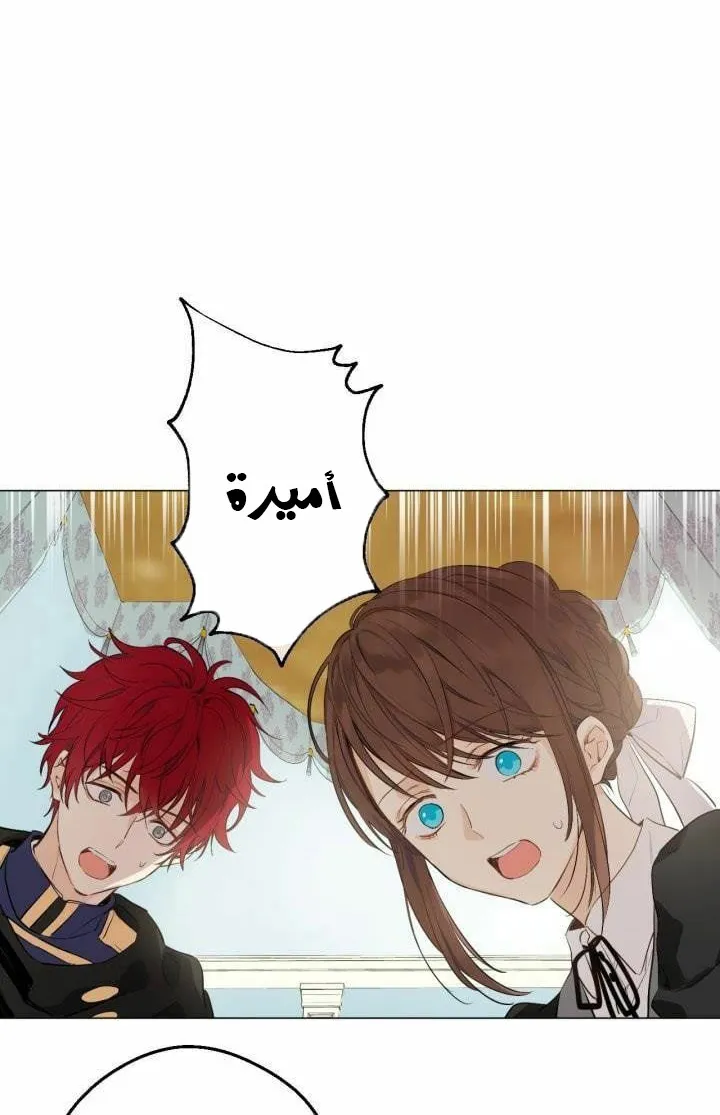 الصفحة 7 من 47