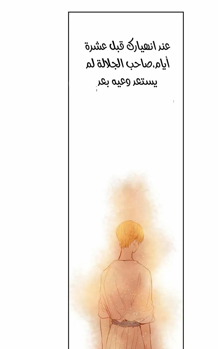 الصفحة 21 من 47