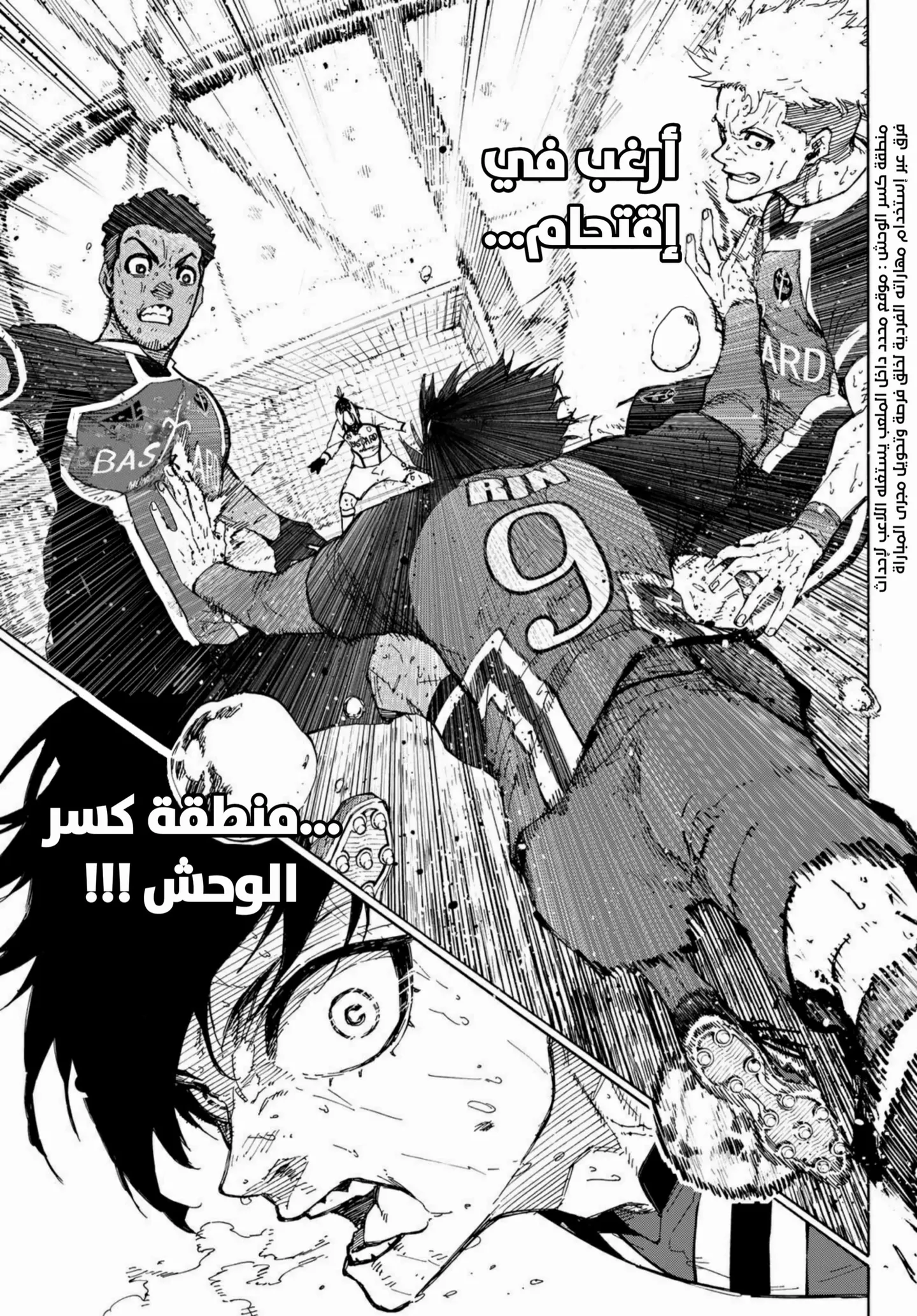 الصفحة 17 من 19