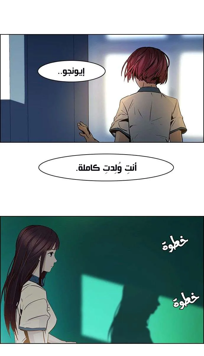 الصفحة 29 من 44