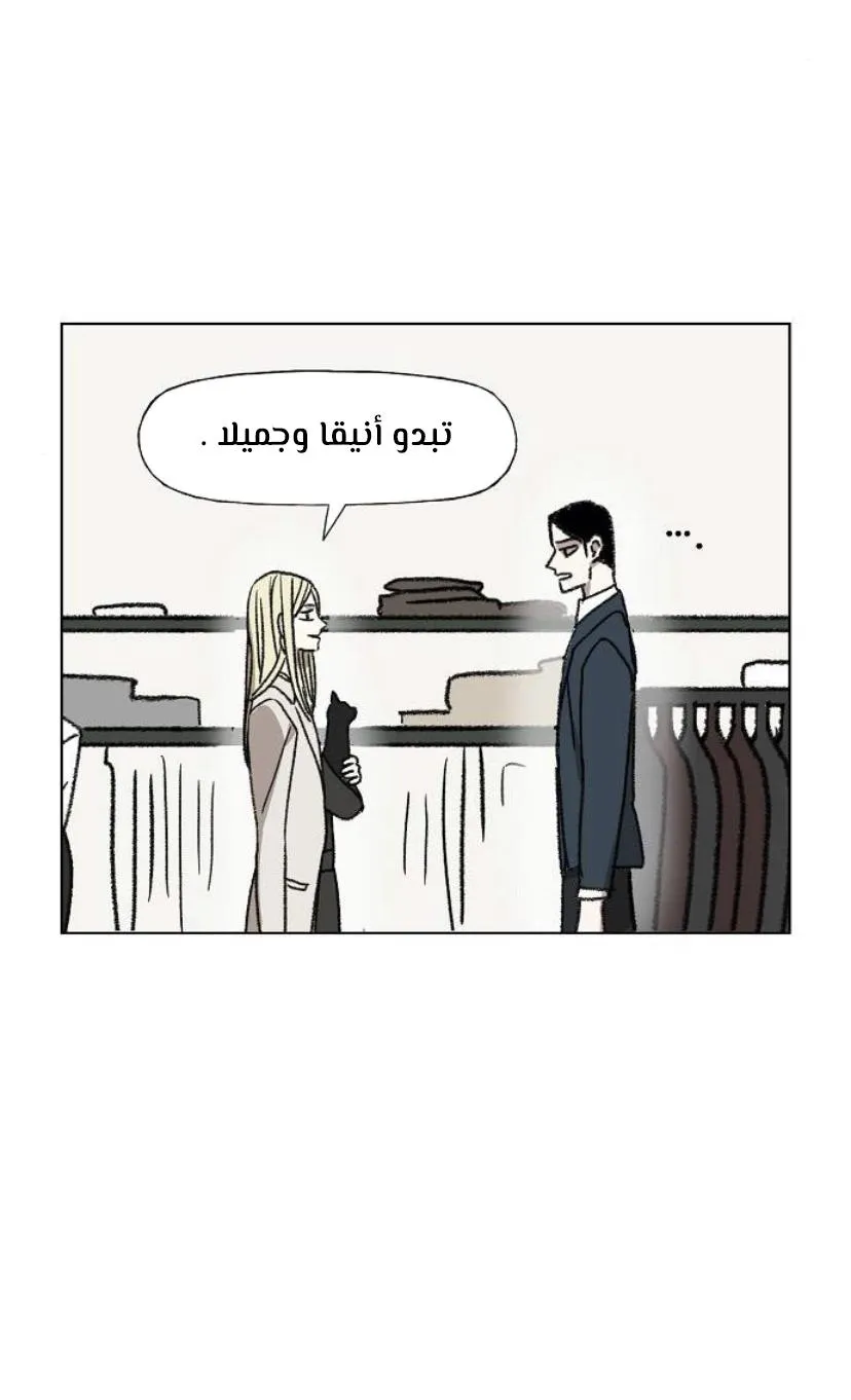 الصفحة 38 من 80