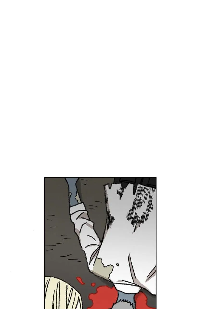 الصفحة 66 من 80