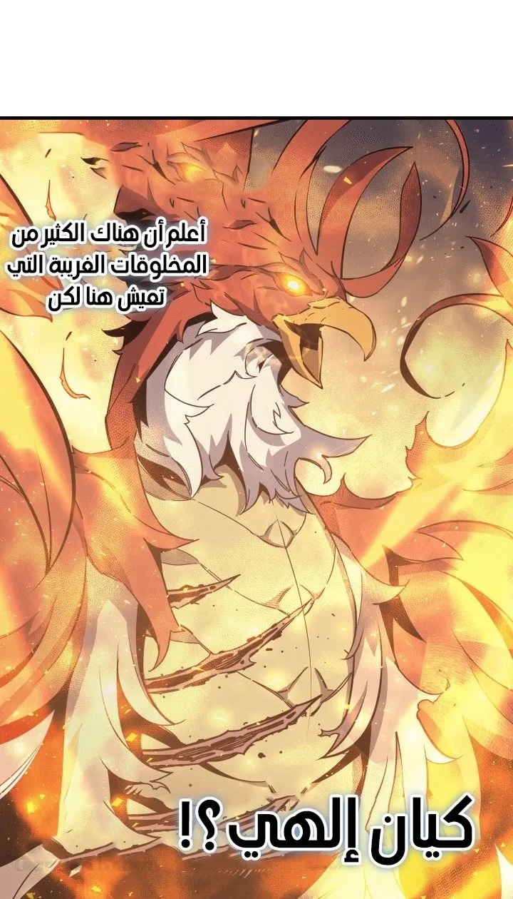 الصفحة 43 من 60
