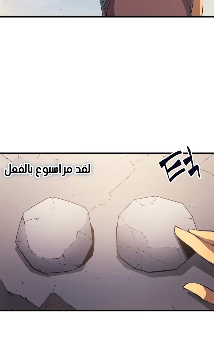 الصفحة 11 من 60