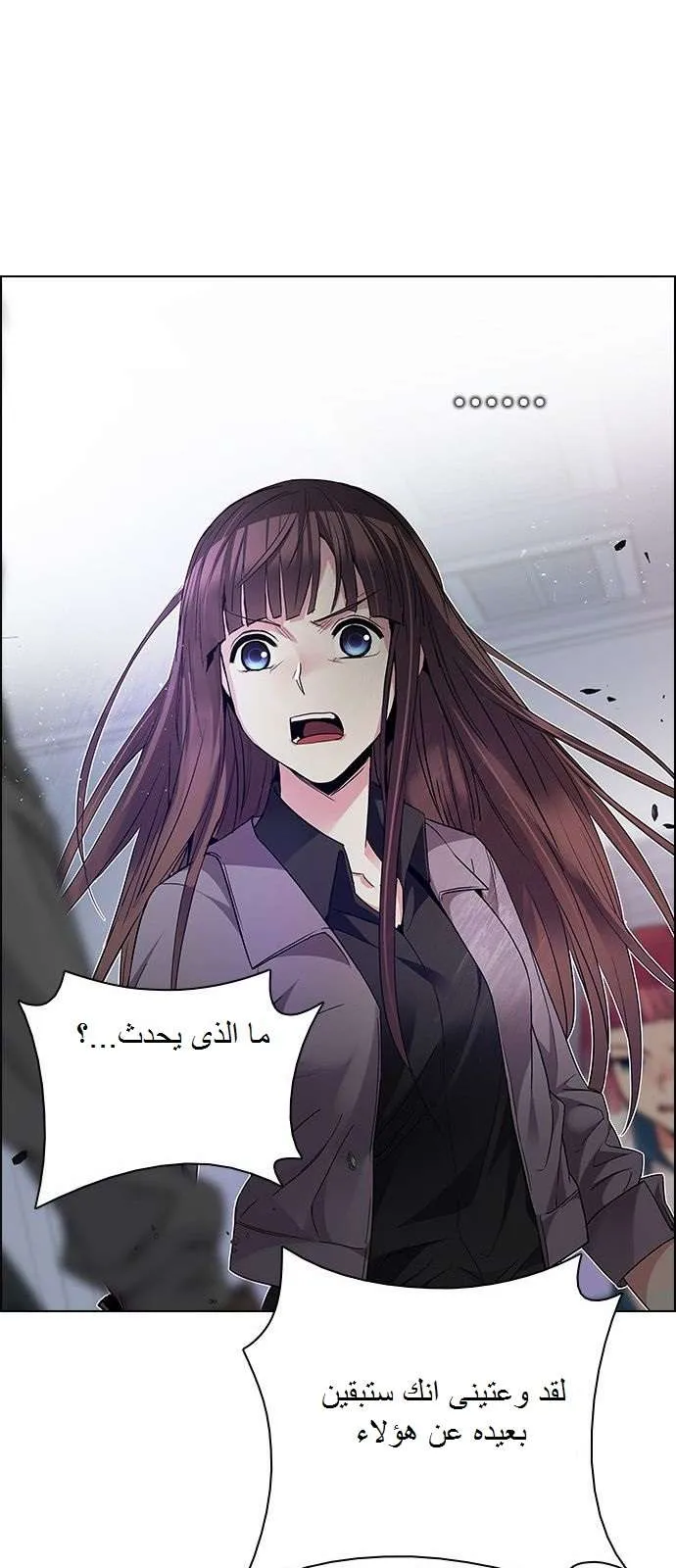 الصفحة 19 من 52