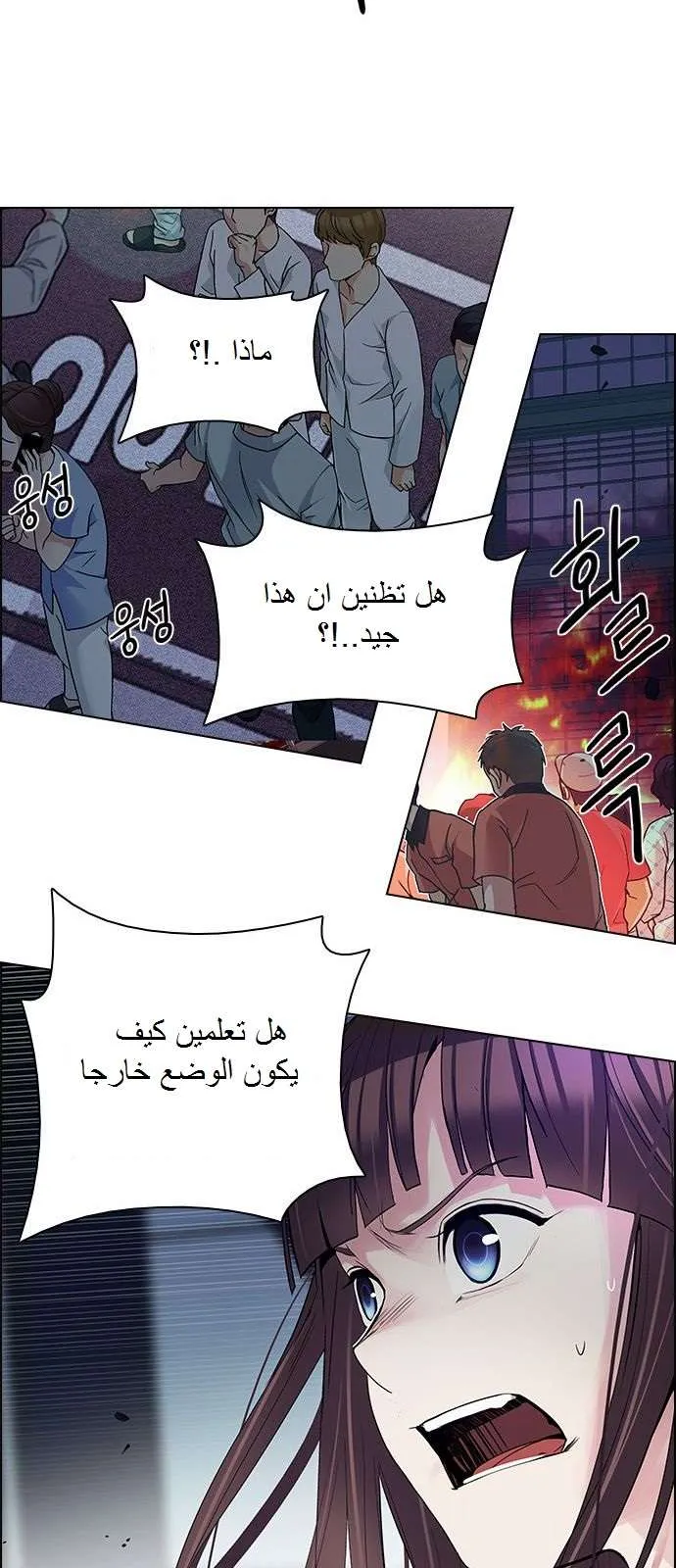 الصفحة 21 من 52