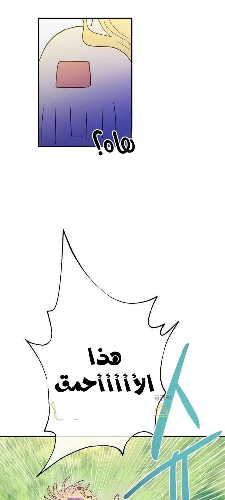 الصفحة 29 من 40