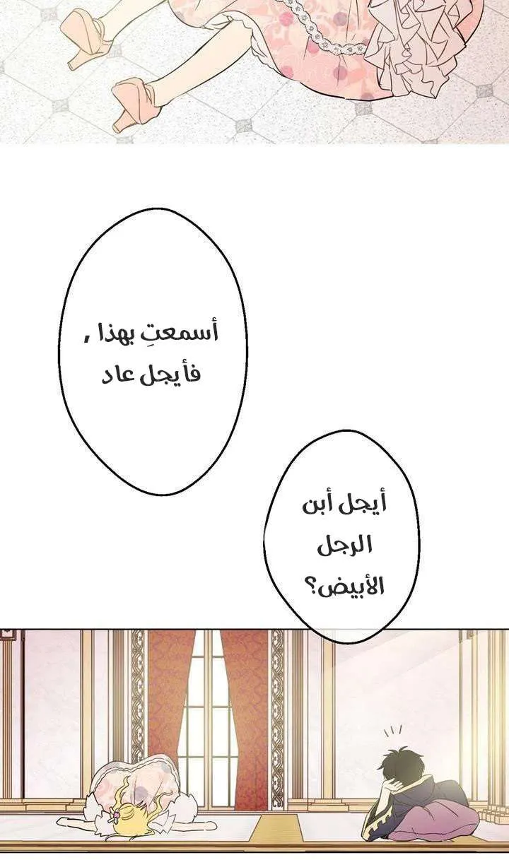 الصفحة 19 من 40