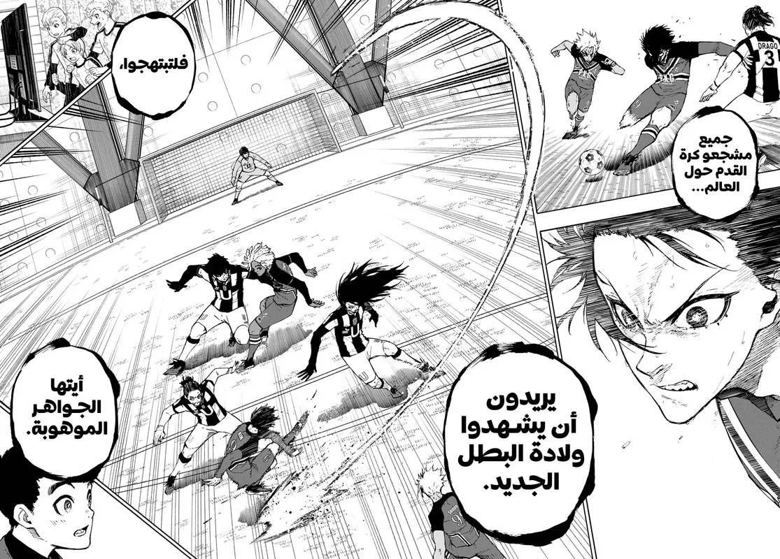 الصفحة 13 من 17