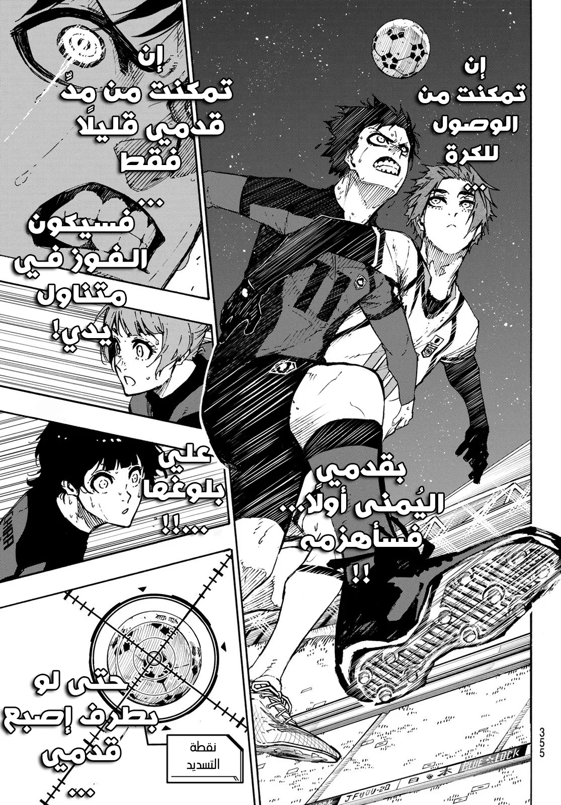 الصفحة 4 من 17