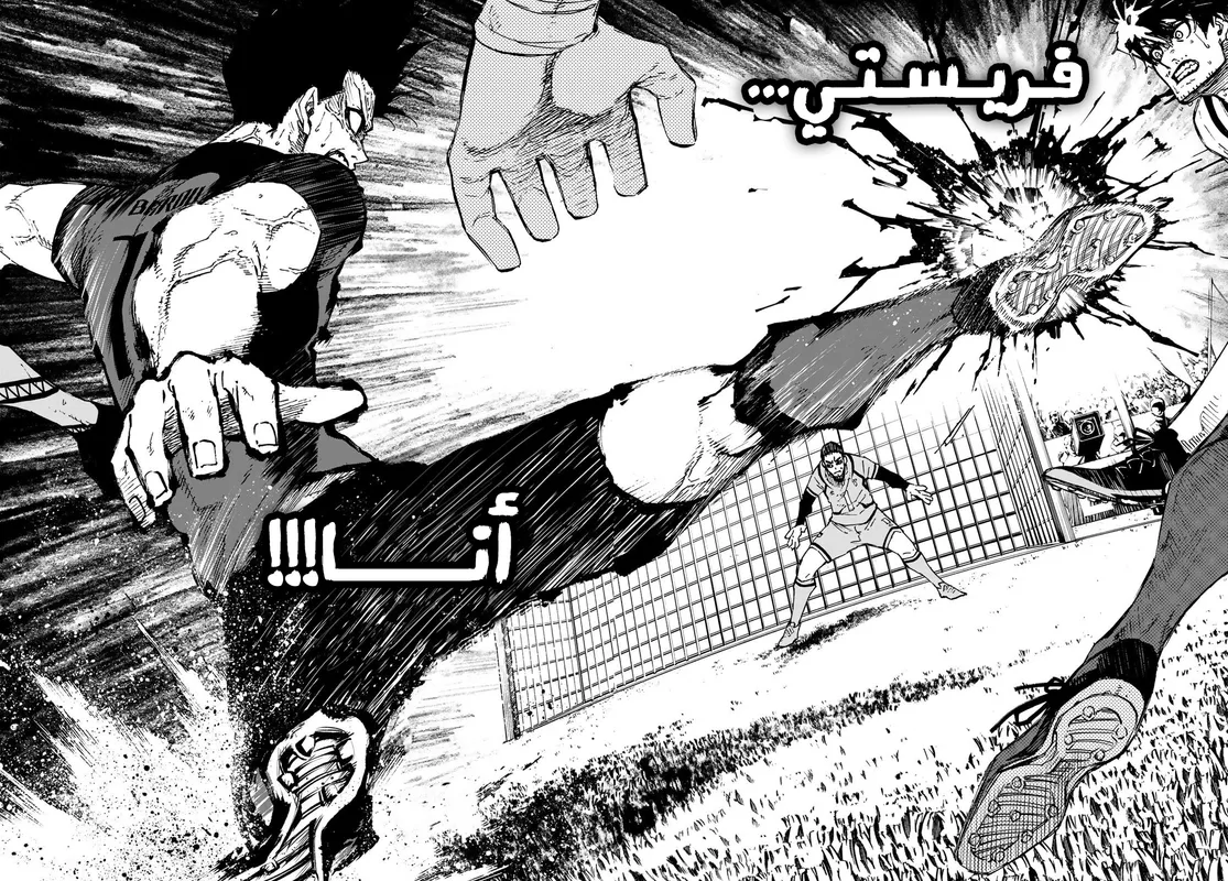 الصفحة 14 من 17