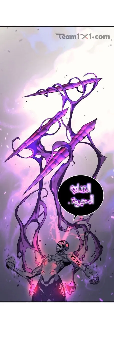 الصفحة 35 من 50