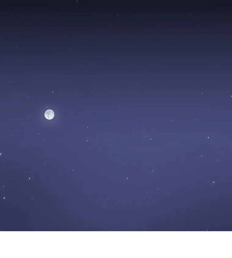 الصفحة 108 من 137