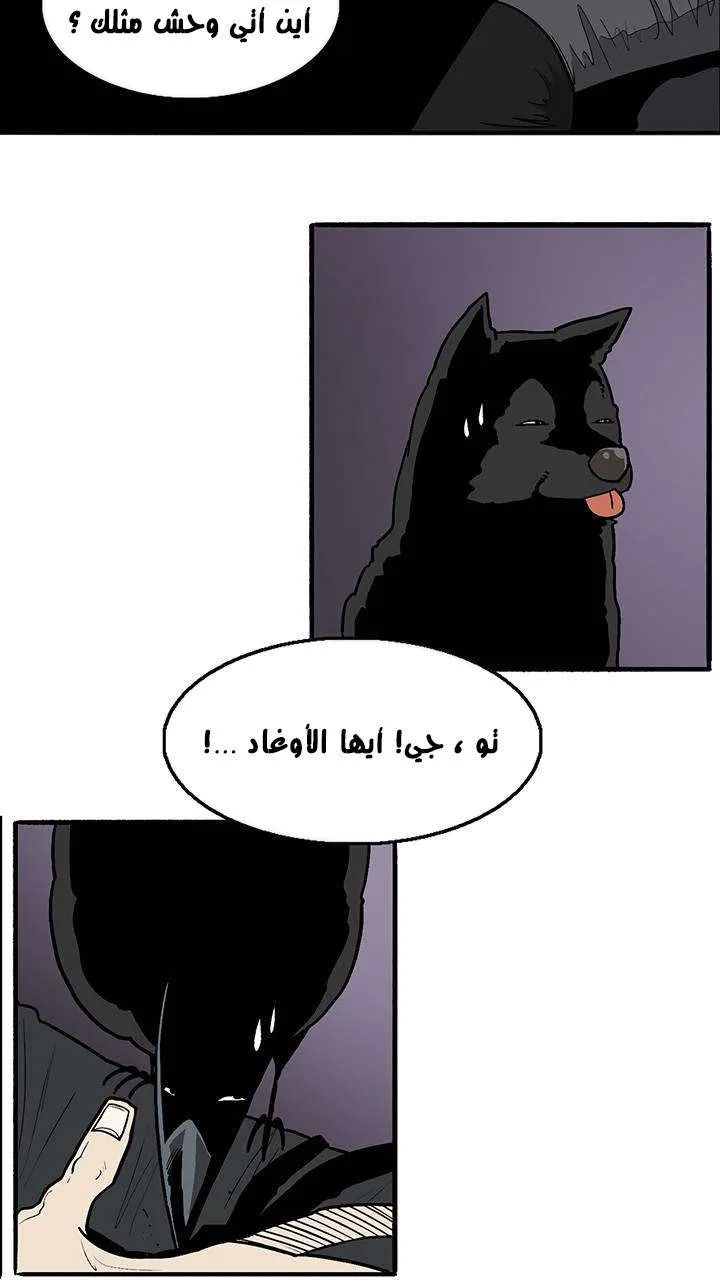 الصفحة 37 من 69