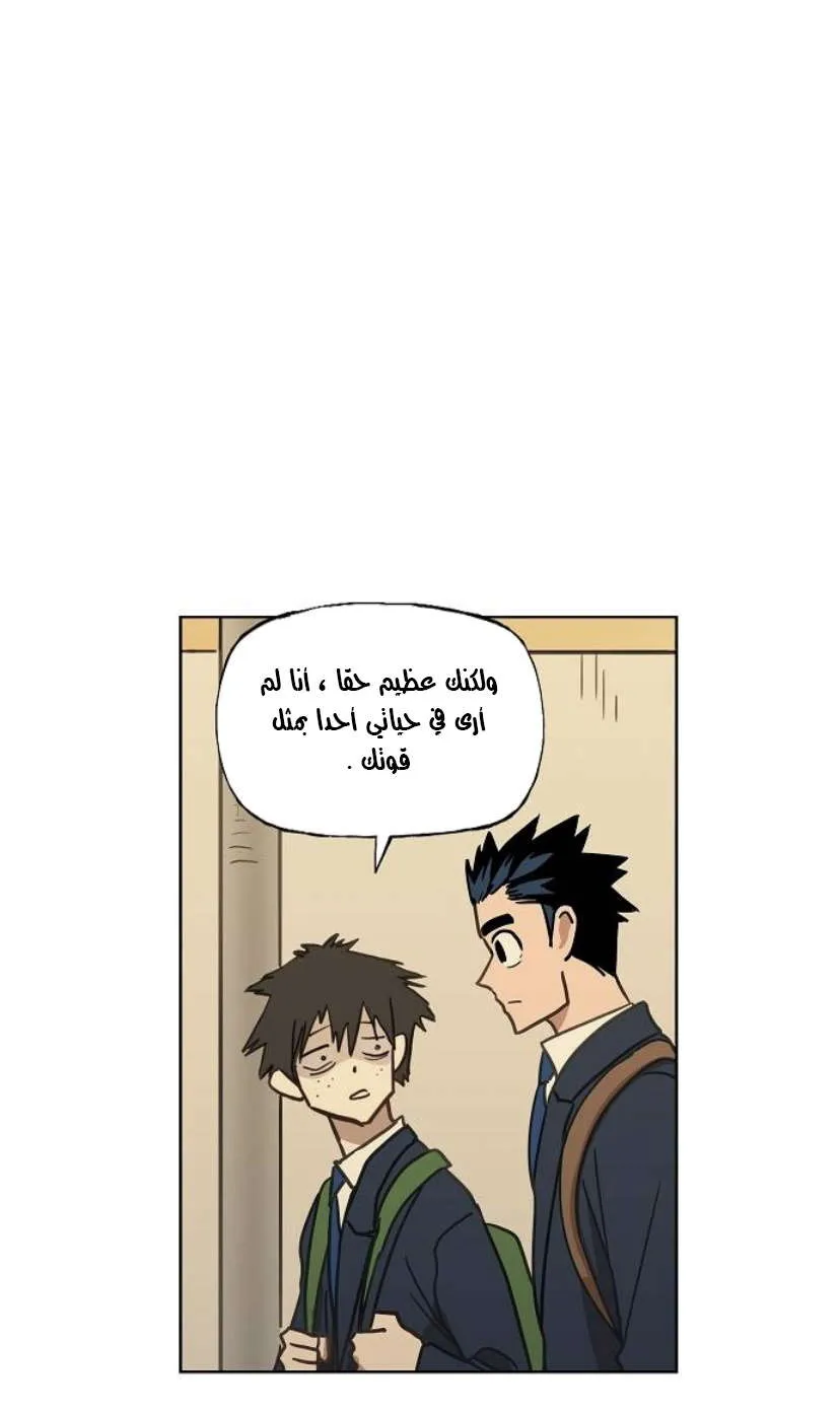 الصفحة 14 من 84