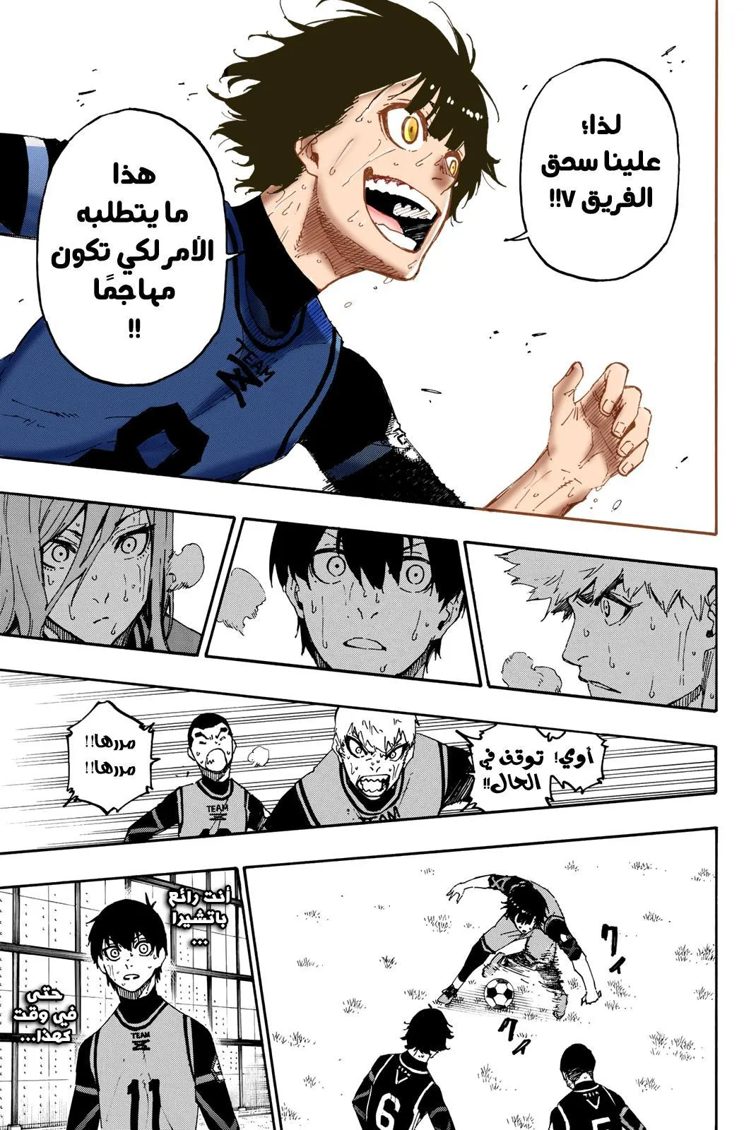 الصفحة 17 من 26