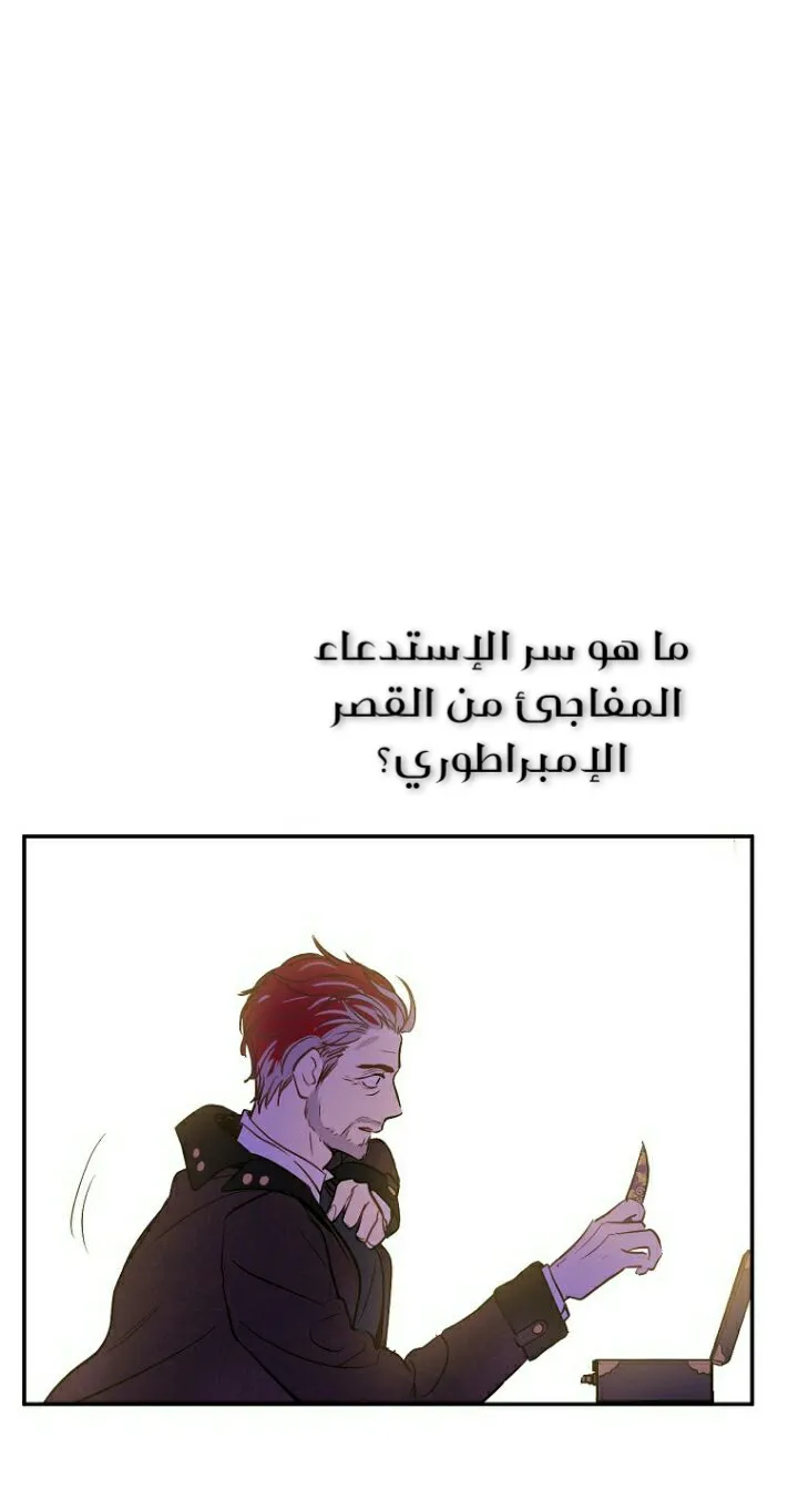 الصفحة 13 من 71