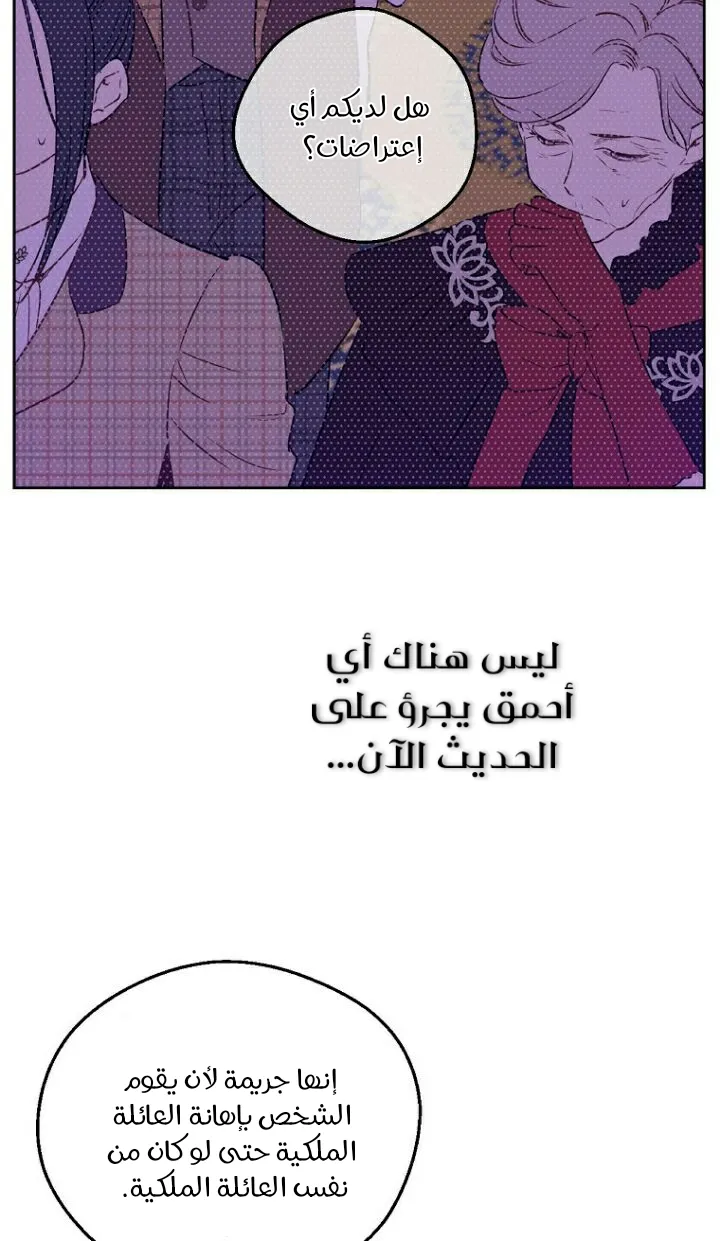 الصفحة 46 من 71