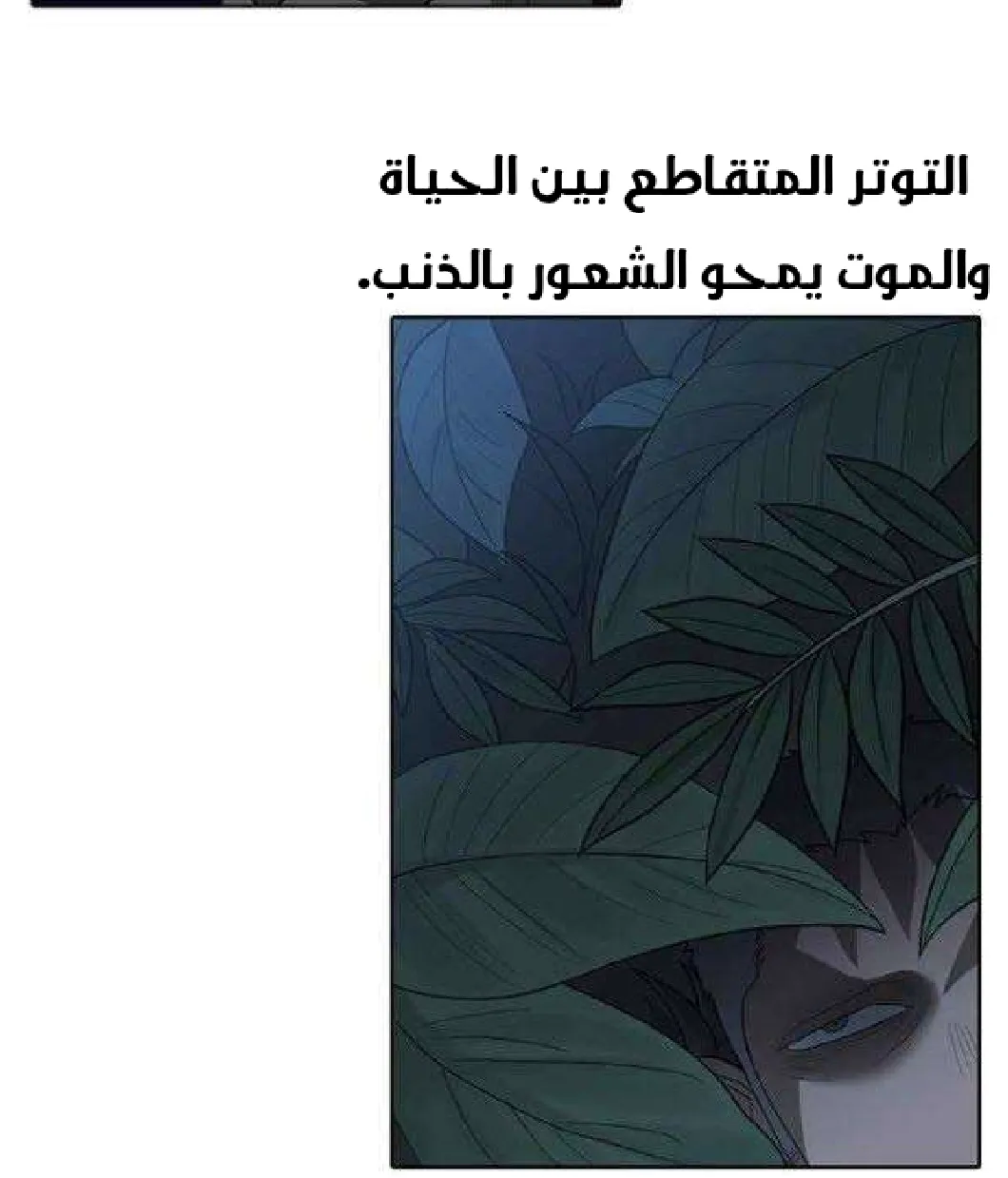 الصفحة 26 من 128