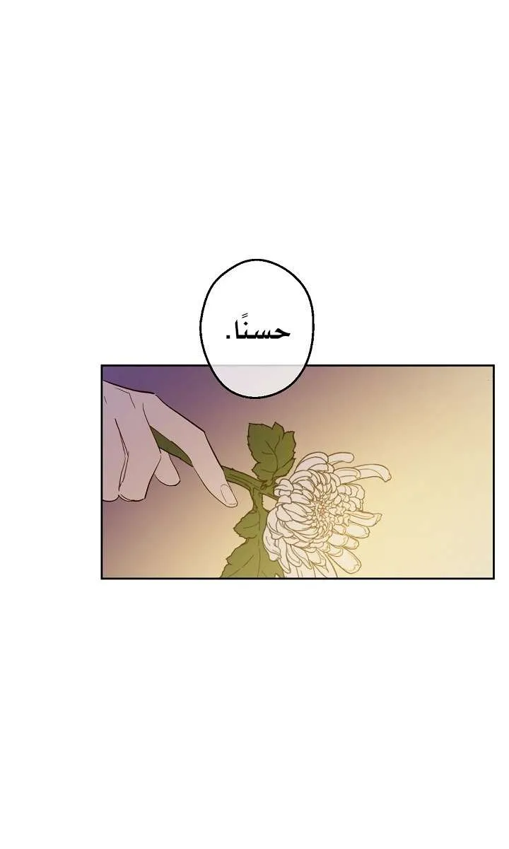 الصفحة 45 من 76
