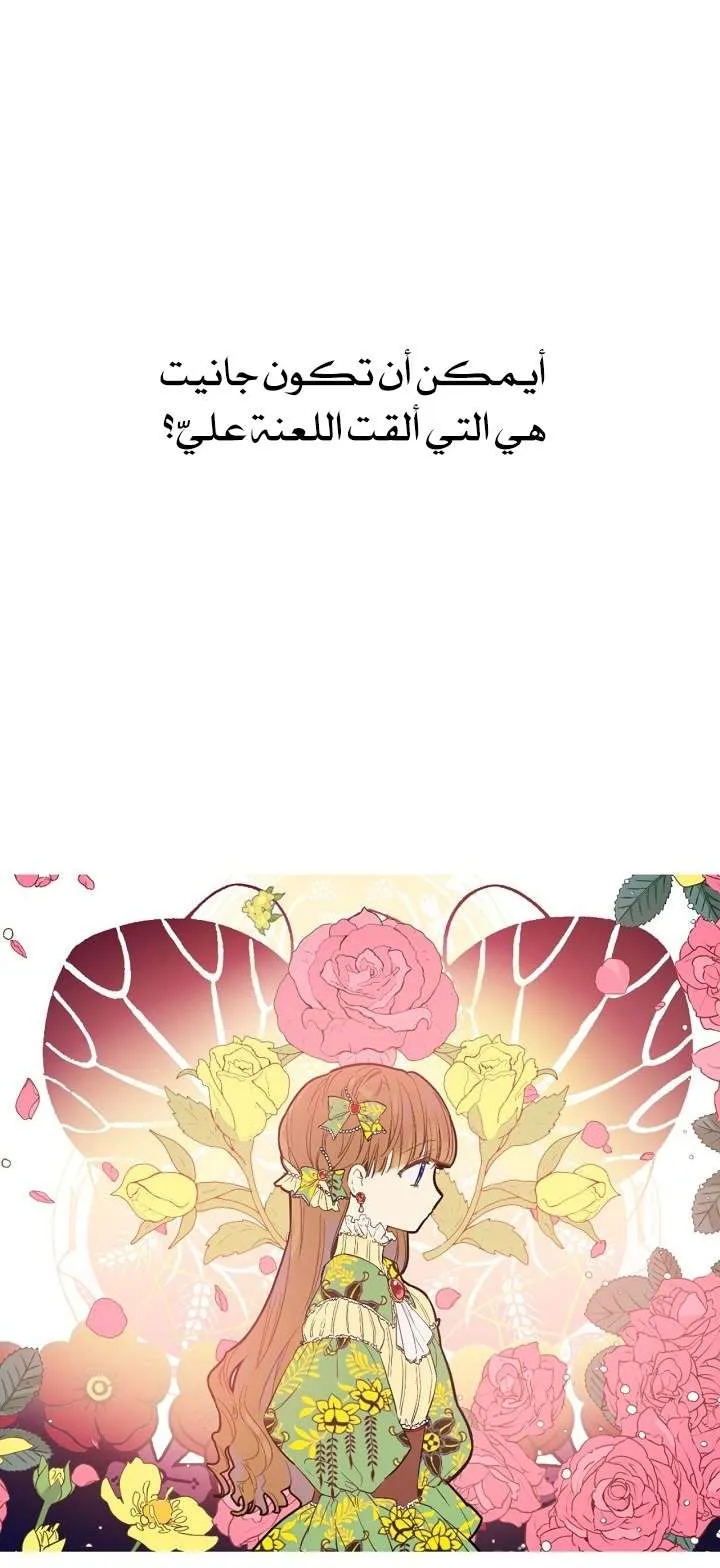 الصفحة 24 من 76