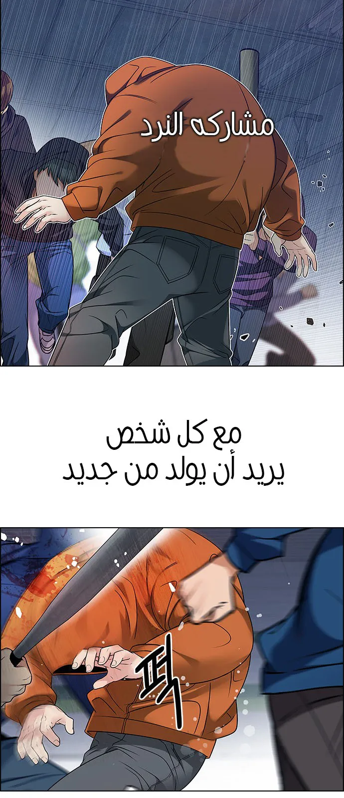 الصفحة 36 من 61
