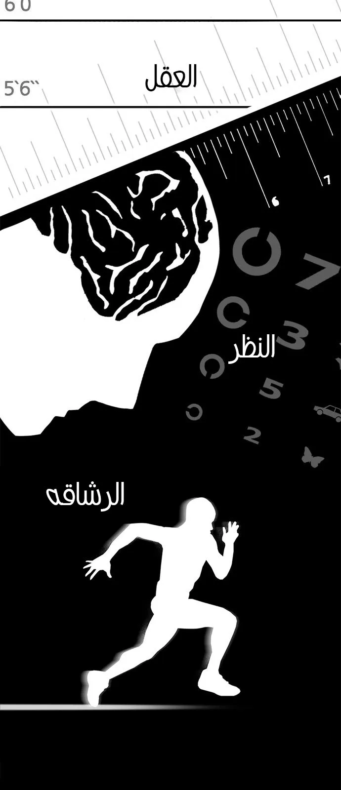 الصفحة 6 من 61