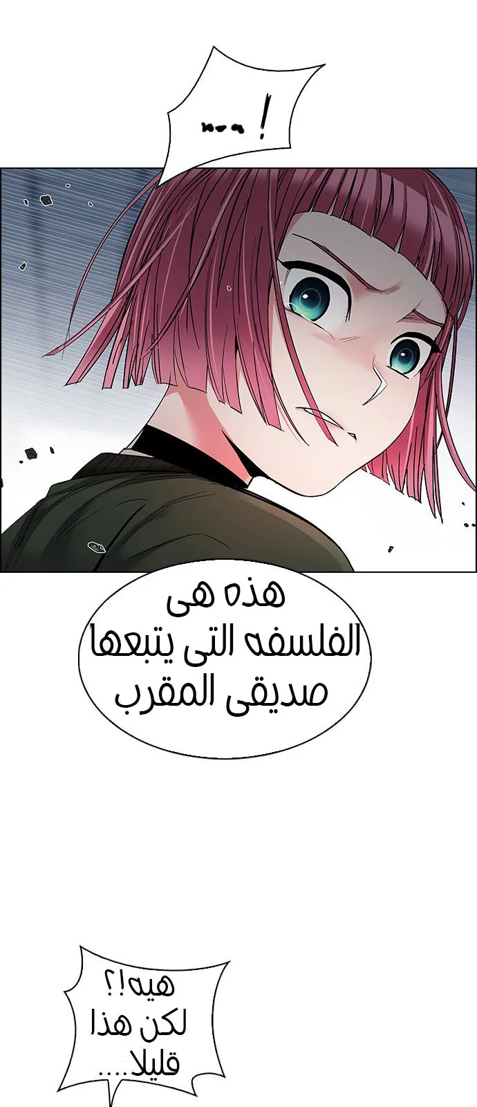 الصفحة 37 من 61